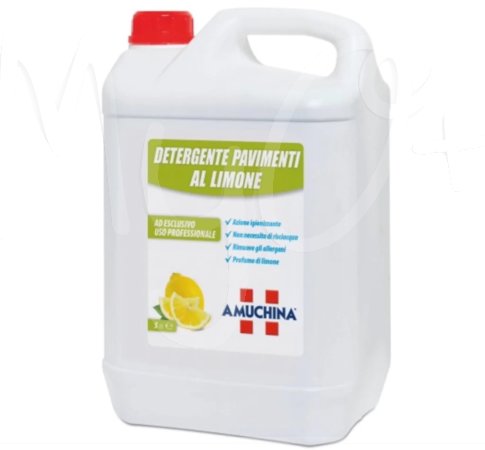 Detergente Pavimenti Amuchina LT 5