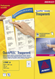 Etichette Trasparenti Scrivibili, Disponibili in Diversi Formati, mm 63,5x38,1