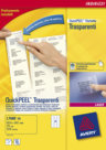 Etichette Trasparenti Scrivibili, Disponibili in Diversi Formati, mm 63,5x38,1